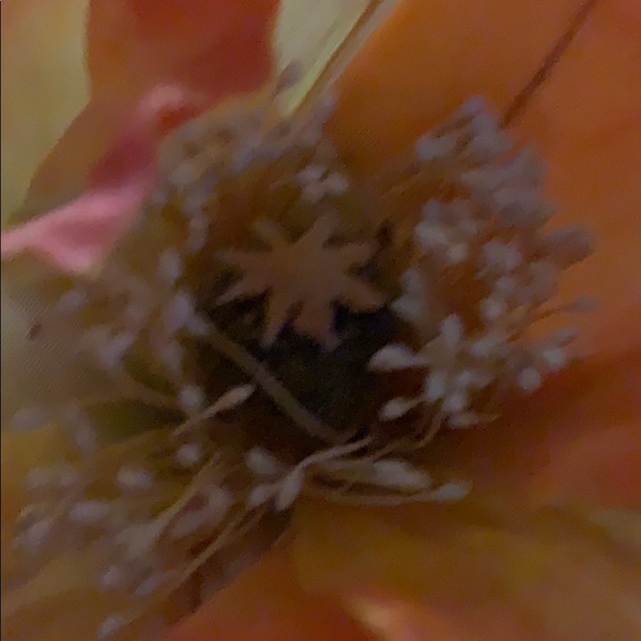 Tack - Picture 4 of 4